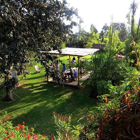 مبيت وإفطار Hacienda Santa Rosa La Casa Del Tilo المظهر الخارجي الصورة